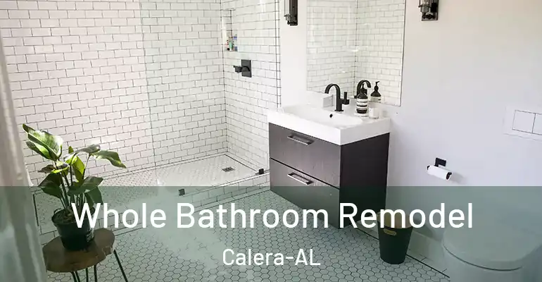 inner Bathroom imggen Whole Bathroom Remodel Calera-AL