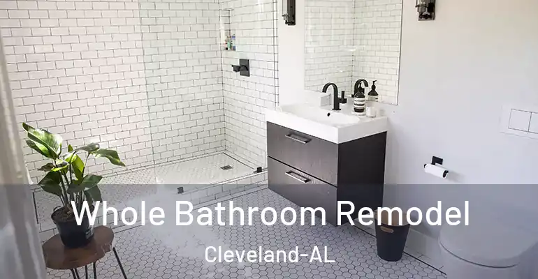 inner Bathroom imggen Whole Bathroom Remodel Cleveland-AL