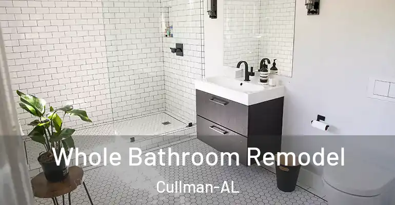 inner Bathroom imggen Whole Bathroom Remodel Cullman-AL