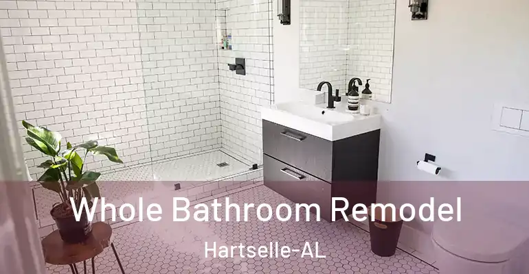 inner Bathroom imggen Whole Bathroom Remodel Hartselle-AL