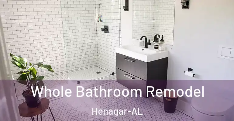 inner Bathroom imggen Whole Bathroom Remodel Henagar-AL