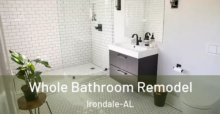 inner Bathroom imggen Whole Bathroom Remodel Irondale-AL