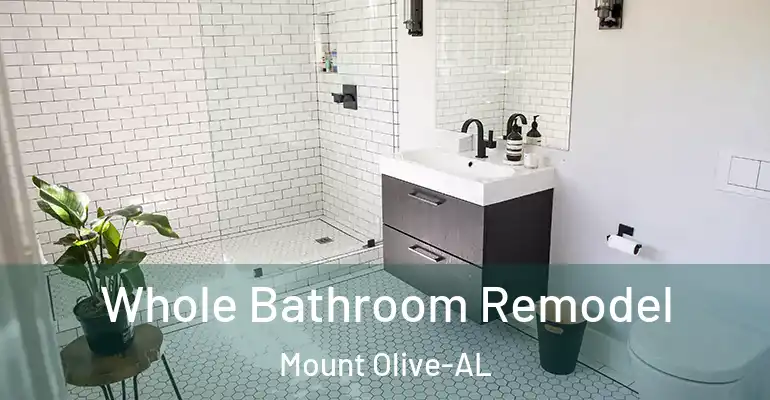 inner Bathroom imggen Whole Bathroom Remodel Mount Olive-AL