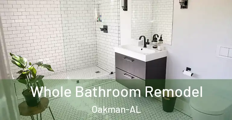 inner Bathroom imggen Whole Bathroom Remodel Oakman-AL
