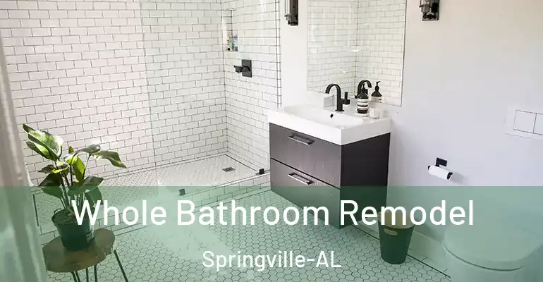 inner Bathroom imggen Whole Bathroom Remodel Springville-AL