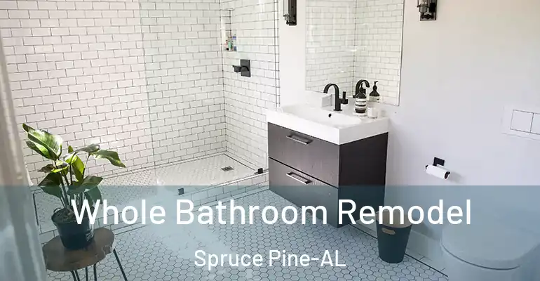 inner Bathroom imggen Whole Bathroom Remodel Spruce Pine-AL