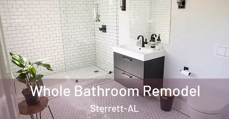 inner Bathroom imggen Whole Bathroom Remodel Sterrett-AL