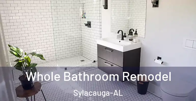 inner Bathroom imggen Whole Bathroom Remodel Sylacauga-AL