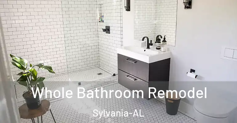 inner Bathroom imggen Whole Bathroom Remodel Sylvania-AL