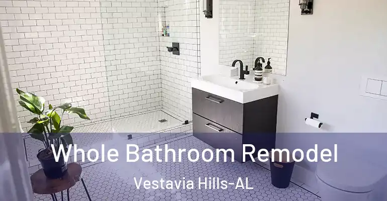inner Bathroom imggen Whole Bathroom Remodel Vestavia Hills-AL